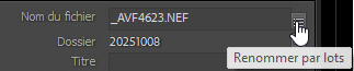 Renommage par lot dans Lightroom Classic