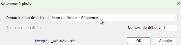 Renommer par lot dans Lightroom Classic