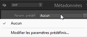 Paramètres prédéfinis de Métadonnées dans Lightroom Classic