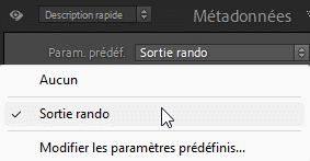 Appliquer un paramètre prédéfini de métadonnées dans Lightroom Classic