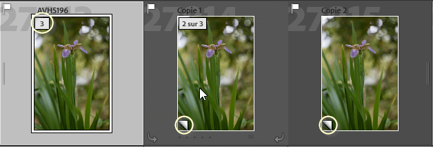 Copie virtuelle dans Lightroom Classic