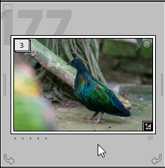Les piles regroupées dans Lightroom Classic