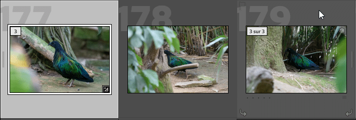 Les piles développées dans Lightroom Classic