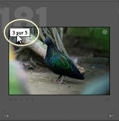 Icône pile dans Lightroom Classic