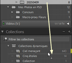 Déplacer un dossier dans une collection dans Lightroom Classic
