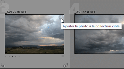 Ajouter à la collection cible dans Lightroom Classic