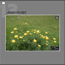 Guide Lightroom Classic