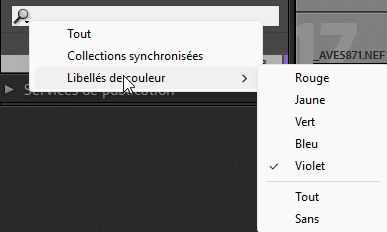 Recherche par libellé de couleurs dans Lightroom Classic