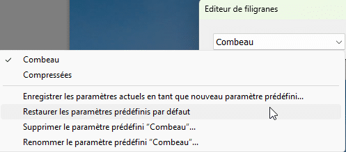 Paramètres prédéfinis de filigrane dans Lightroom Classic