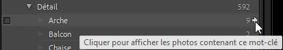 Filtre par mots clés dans Lightroom Classic