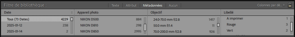 Filtres avec 8 colonnes max dans Lightroom Classic
