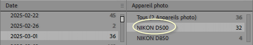 Insérer une colonne à droite dans Lightroom Classic