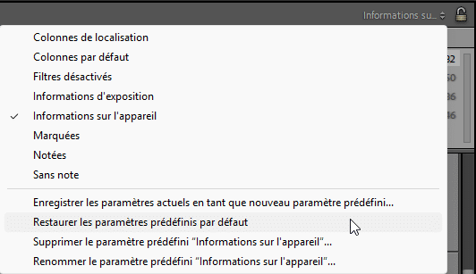 Type de filtres dans Lightroom Classic