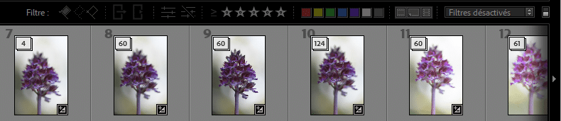 Filtrer avec le Film fixe Lightroom Classic