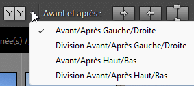 Vues possibles Avant/Après dans Lightroom Classic