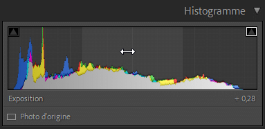 Déplacement du pointeur dans l'histogramme de Lightroom Classic