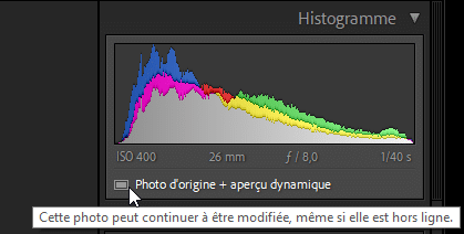 Photographie avec un aperçu dynamique dans Lightroom Classic