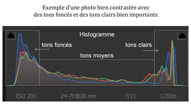 Un exemple d'histogramme bien contrasté avec des tons clairs et foncés puissant dans Lightroom Classic
