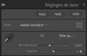 Panneau réglages de base Lightroom Classic