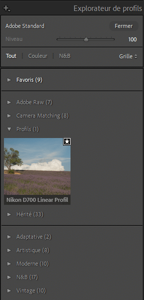 L'éditeur de profilss dans Lightroom Classic