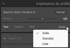 Affichage dans l'éditeur de profils de Lightroom Classic