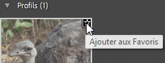 Ajouter aux favoris de profil dans Lightroom Classic