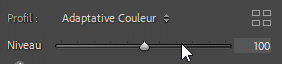Intensité d'un profil adaptatif de Lightroom Classic