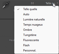 Choix de la balance des blancs dans Lightroom Classic