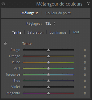 Panneau mélangeur de Lightroom Classic