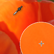 Outil pipette mélangeur dans Lightroom Classic