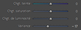 Outil Variance dans Lightroom Classic