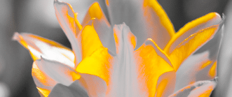 Guide Lightroom Classic