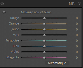 Panneau N&B de Lightroom Classic