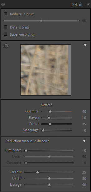 Panneau détail de Lightroom Classic