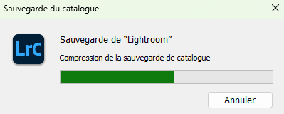 Guide Lightroom Classic