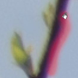 Application du pinceau supprimer la frange Lightroom Classic