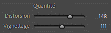 Curseurs de corrections du profil de l'objectif dans Lightroom Classic
