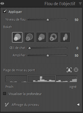 Panneau Flou de l'objectif dans Lightroom Classic