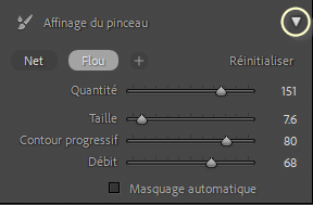 Affinage du pinceau dans Lightroom Classic
