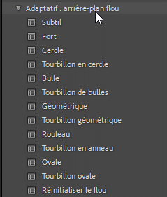 Adaptatif : arrière plan flou Lightroom Classic