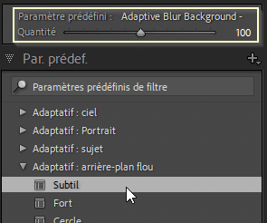 Paramètre prédéfini : Quantité dans Lightroom Classic