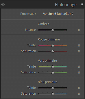 Panneau Étalonnage dans Lightroom Classic