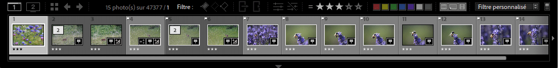 Film fixe de Lightroom Classic