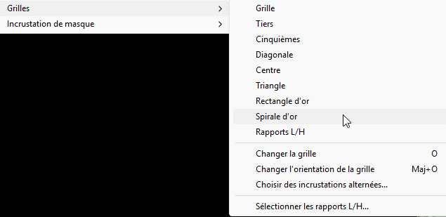 Affichage des différentes grilles dans Lightroom Classic