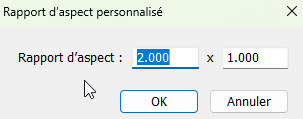 Rapport d'aspect personnalisé dans Lightroom Classic