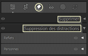 Panneau Supprimer ou Suppression des distractions dans Lightroom Classic