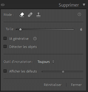 Panneau Supprimer dans Lightroom Classic