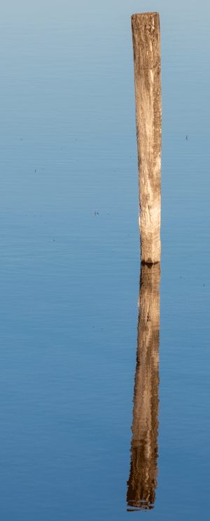 Suppression par duplication dans Lightroom Classic