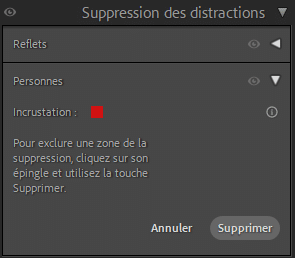 Suppression des distractions dans Lightroom Classic