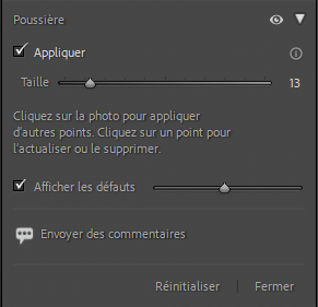 Fonction poussière dans Lightroom Classic